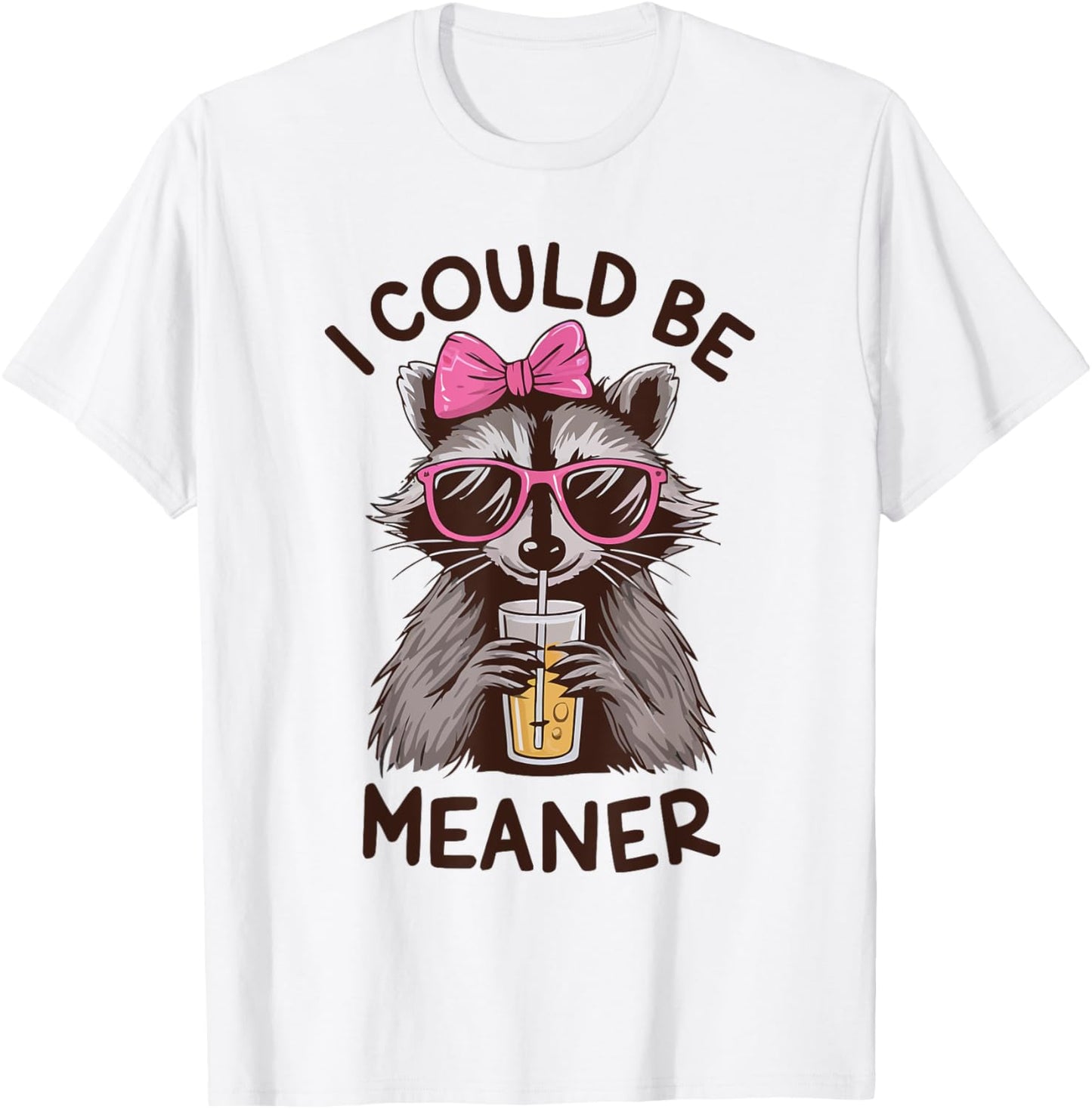 I Could Be Meaner Funny Raccoon Meme Retro Vinatge Women T-Shirt