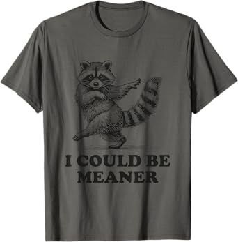 I Could Be Meaner Vintage Sarcastic Humor Funny Raccoon T-Shirt