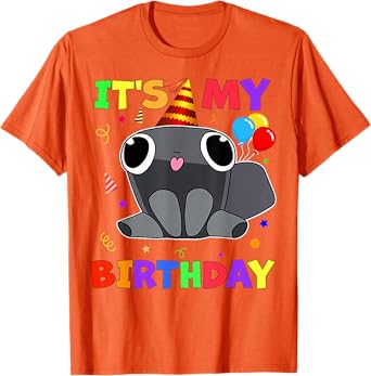 Dandy's Pebble Birthday Decoration World for Kids Boys Girls T-Shirt