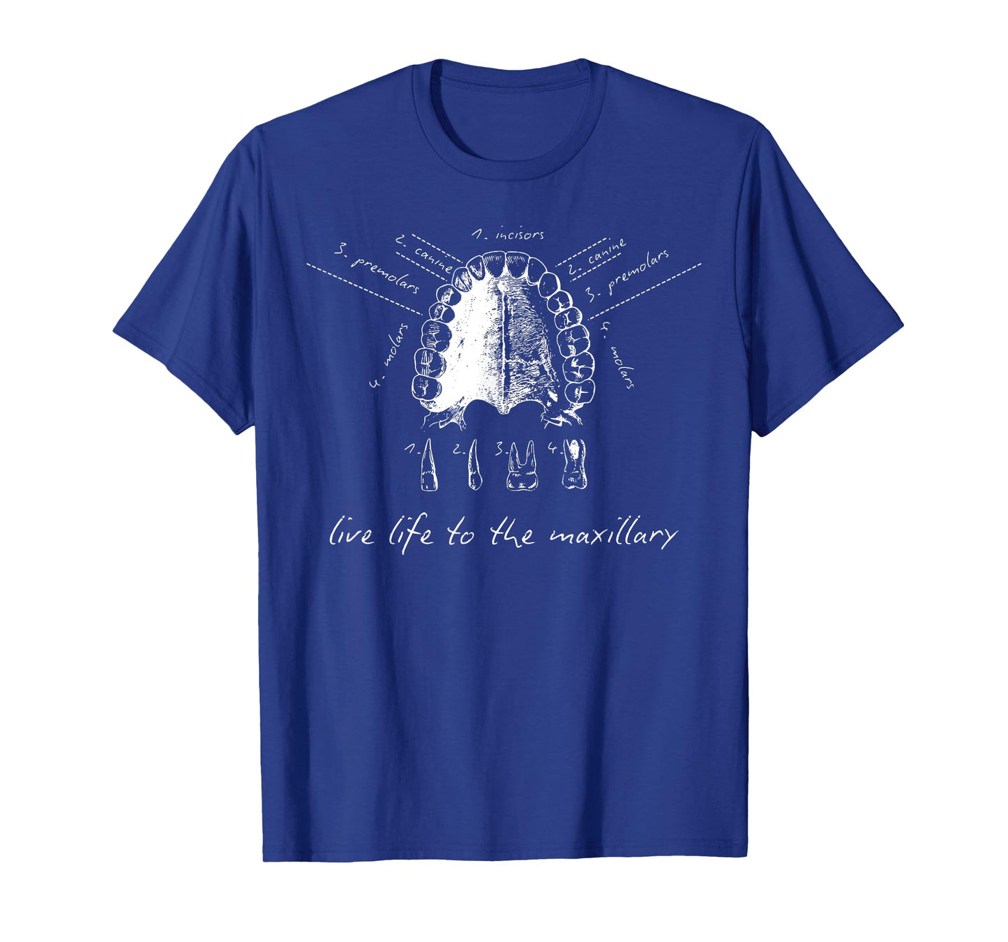 Live Life To The Maxillary Dental Anatomy Tooth Hygiene Grad T-Shirt