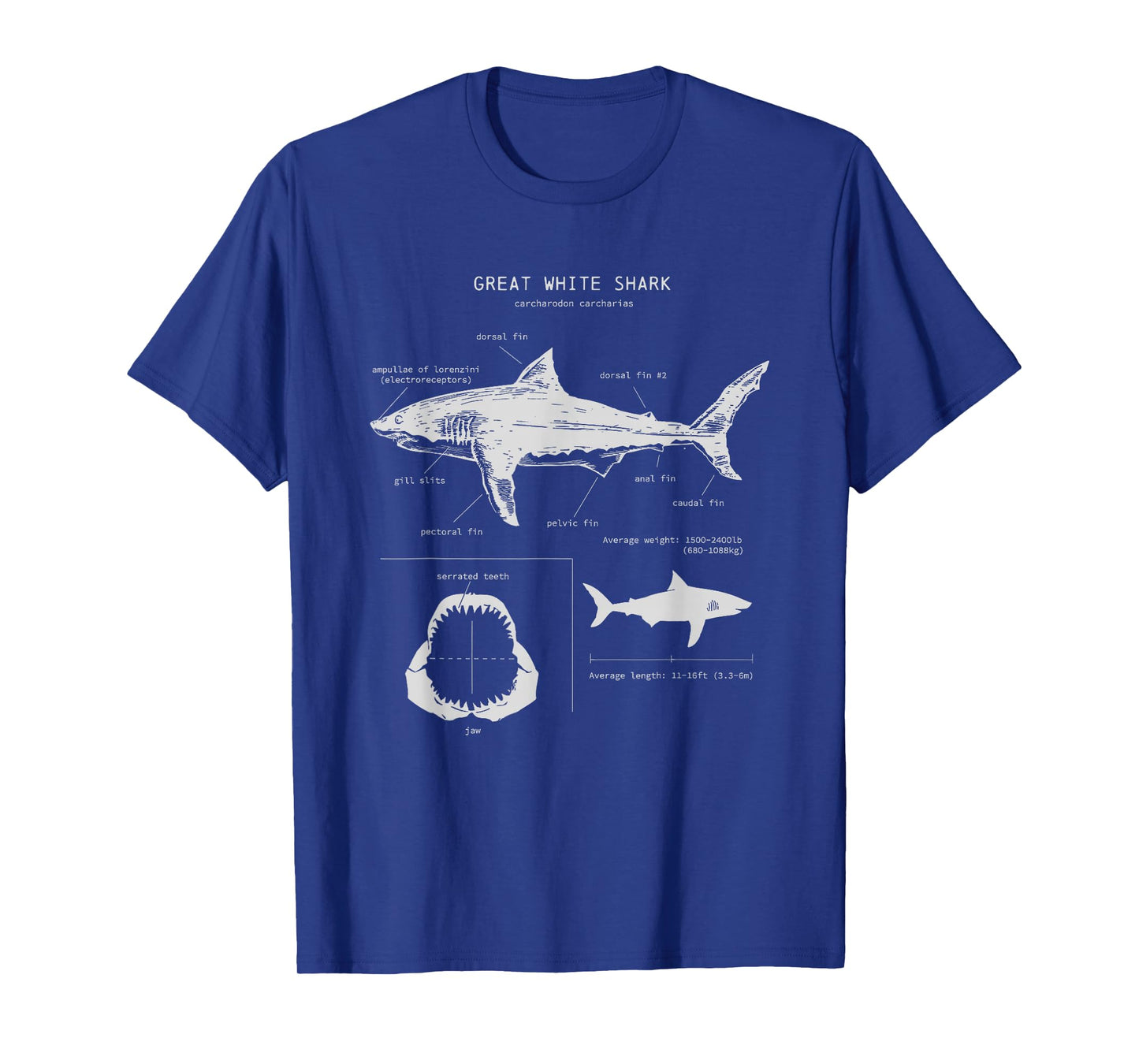 Great White Shark Anatomy , Marine Biologist T-Shirt