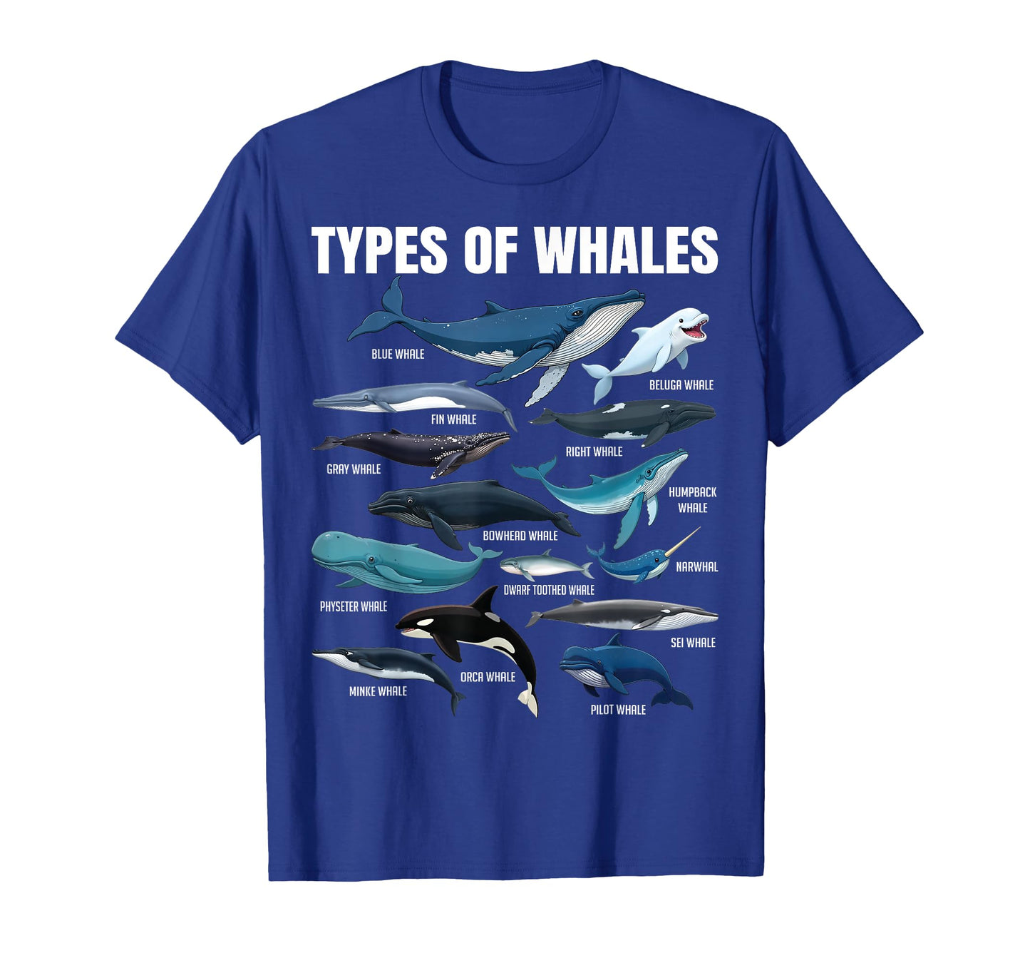 Types of Whales Educational Marine Life Enthusiast Biologist T-Shirt