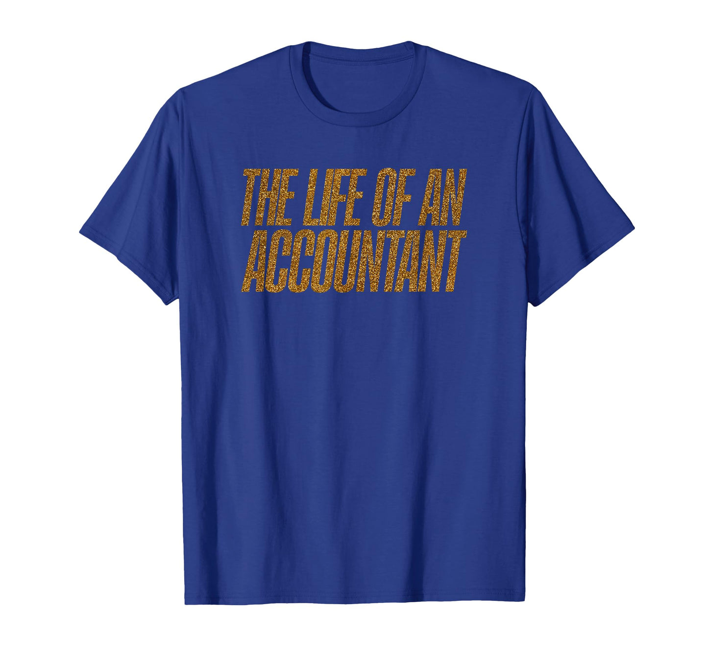 The Life of an Accountant Funny T-Shirt