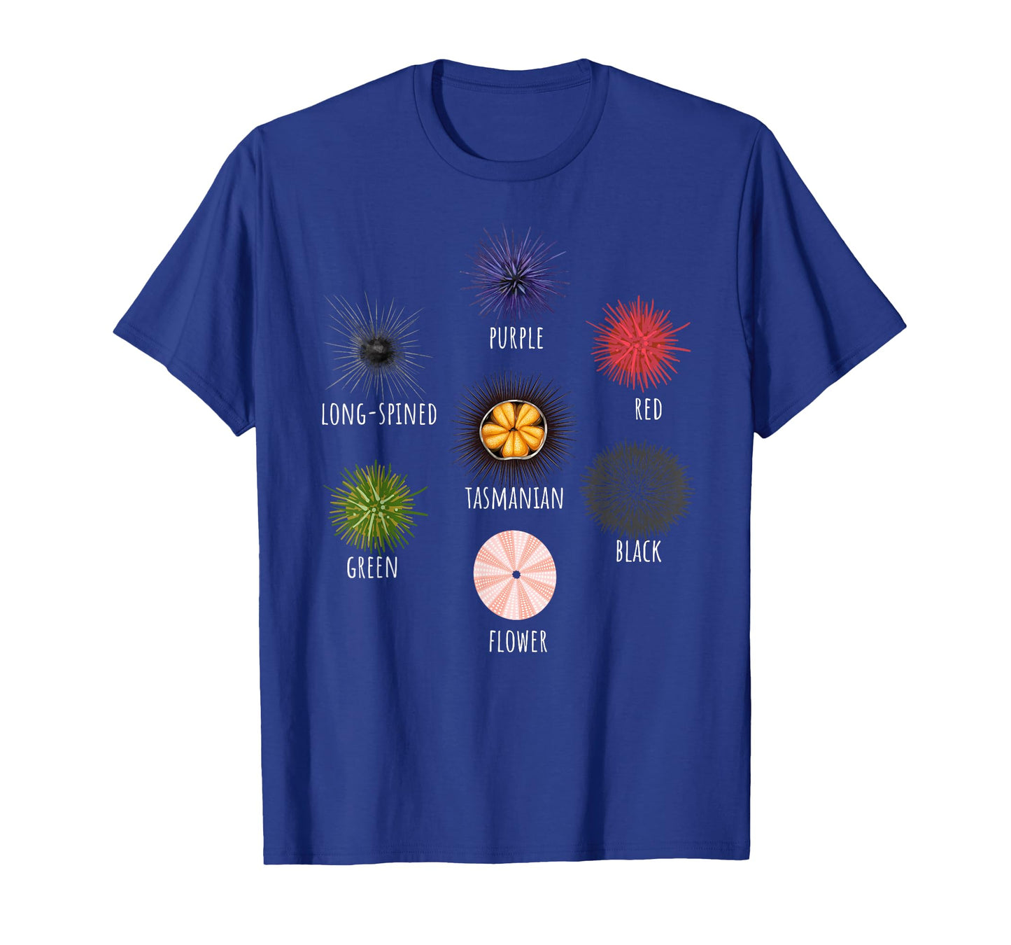 Type Of Sea Urchin Variants Sea Shell Beach Ocean Lovers T-Shirt