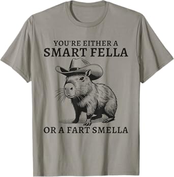 You're Either A Smart Fella Or A Fart Smella Funny Sarcastic T-Shirt