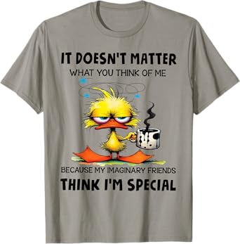It doesnt matter what you think of me because my imaginary T-Shirt