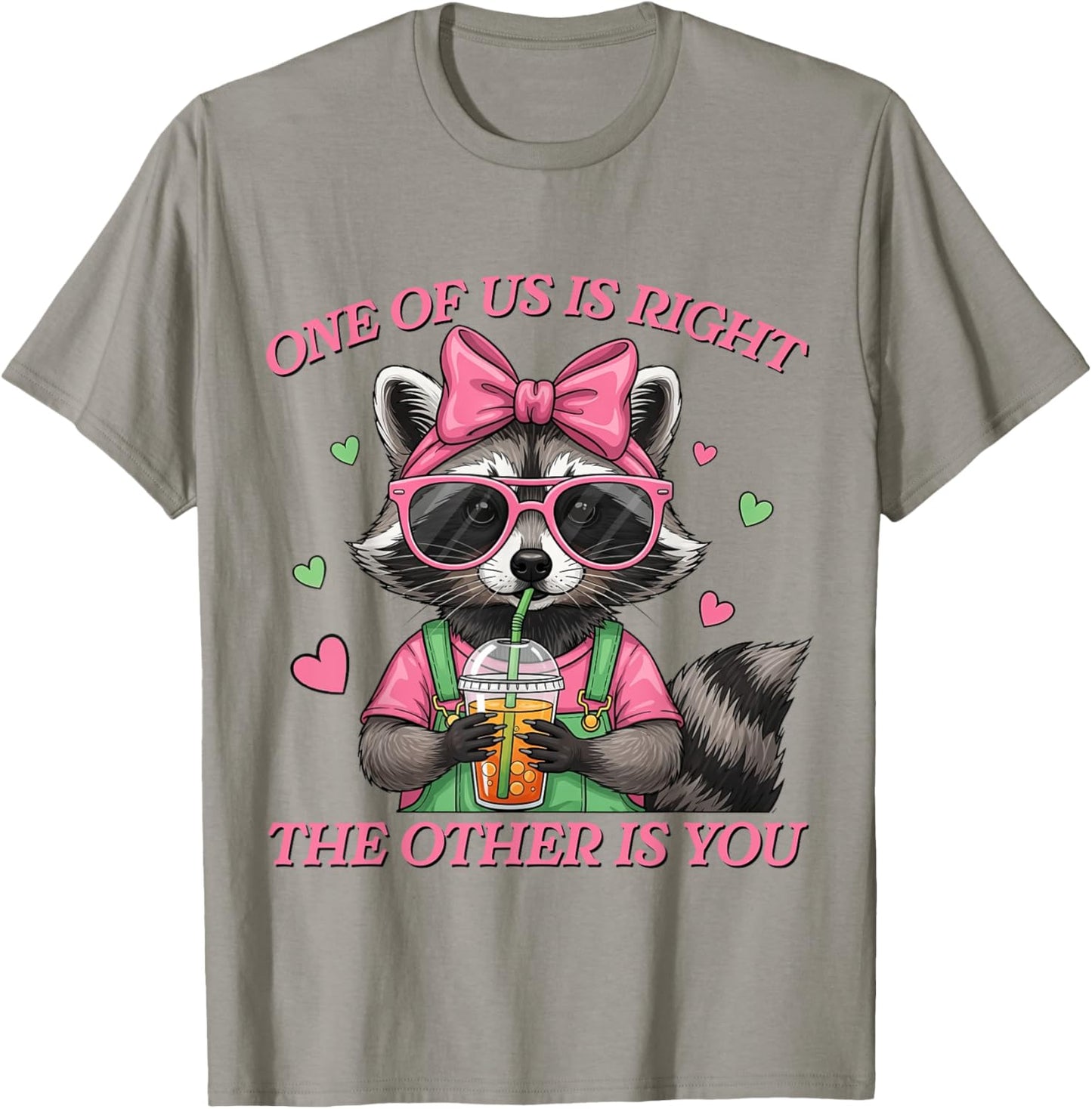 One Of Us Is Right The Other Is You Sarcastic Raccoon Meme T-Shirt