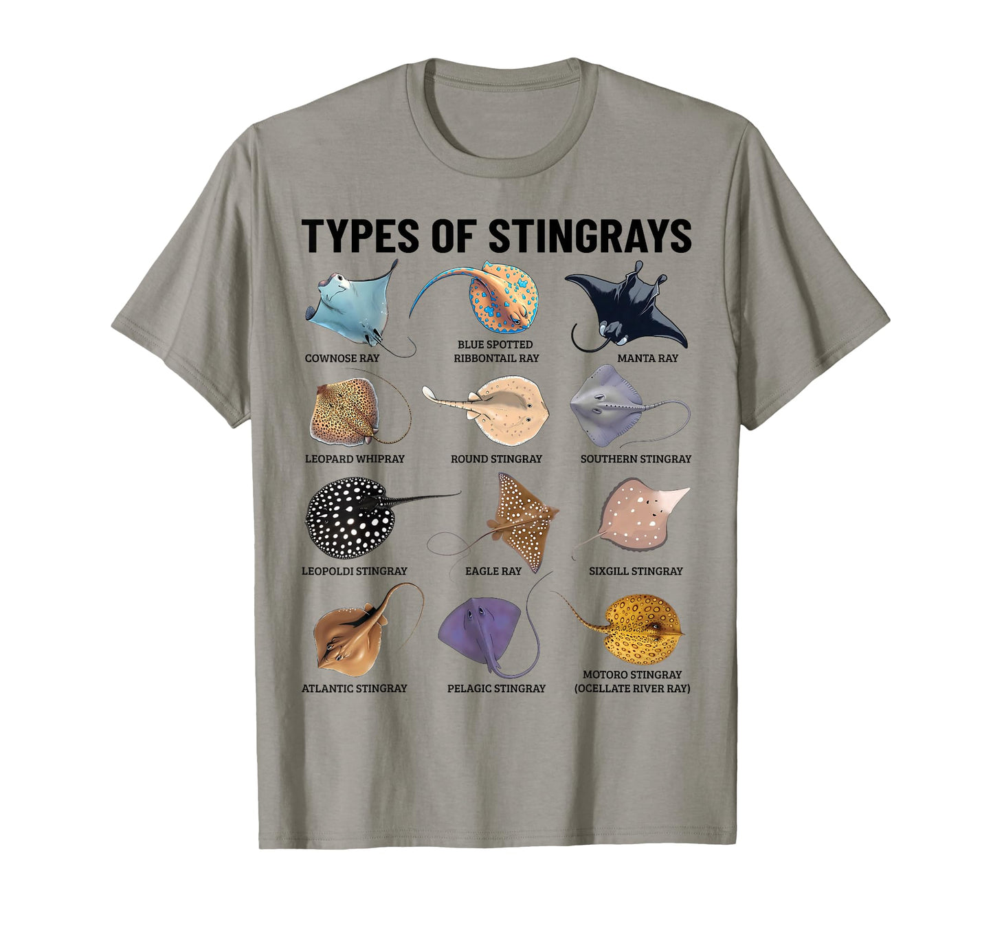 Types of Stingray Ocean Life Stingray Species Educational T-Shirt