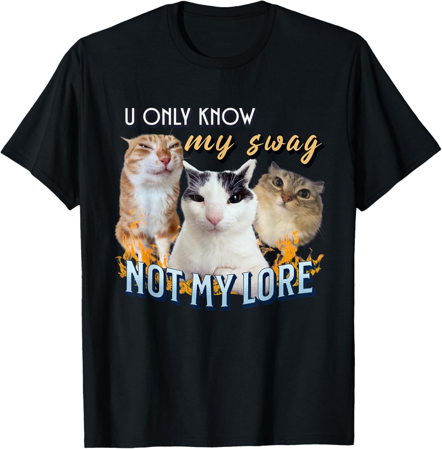 You Only Know My Swag Not Lore Funny Derpy Cat Meme Y2K T-Shirt