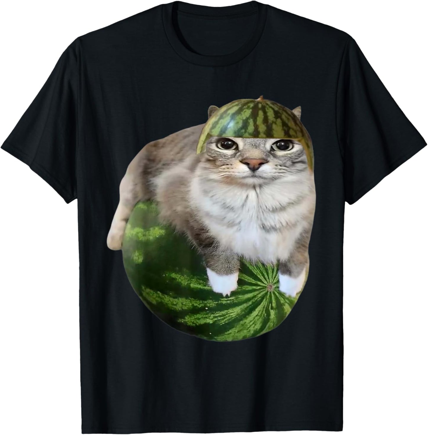 Watermelon Cat Funny Meme T-Shirt