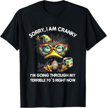 Sorry I'm Cranky I'm Going Through My Terrible 70s Now Funny T-Shirt