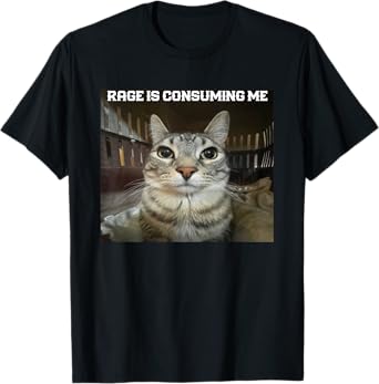 Rage is consuming me cat meme silly staring T-Shirt
