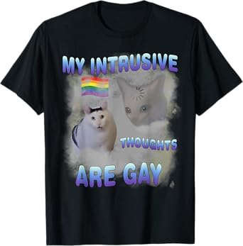 My Intrusive Thoughts Are Gay Funny Cat Meme Humor Joke T-Shirt for Men Women