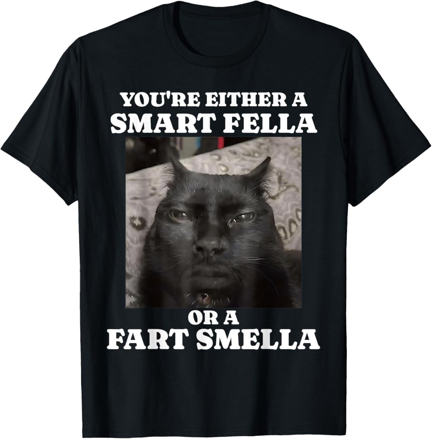 You're Either a Smart Fella or a Fart Smella Funny Cat Meme T-Shirt