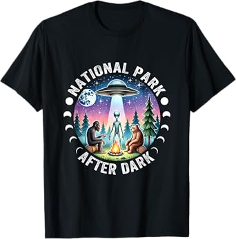 Vintage Retro Funny National Park After the Dark Big foot Alien Campfire T-Shirt, Small, Black