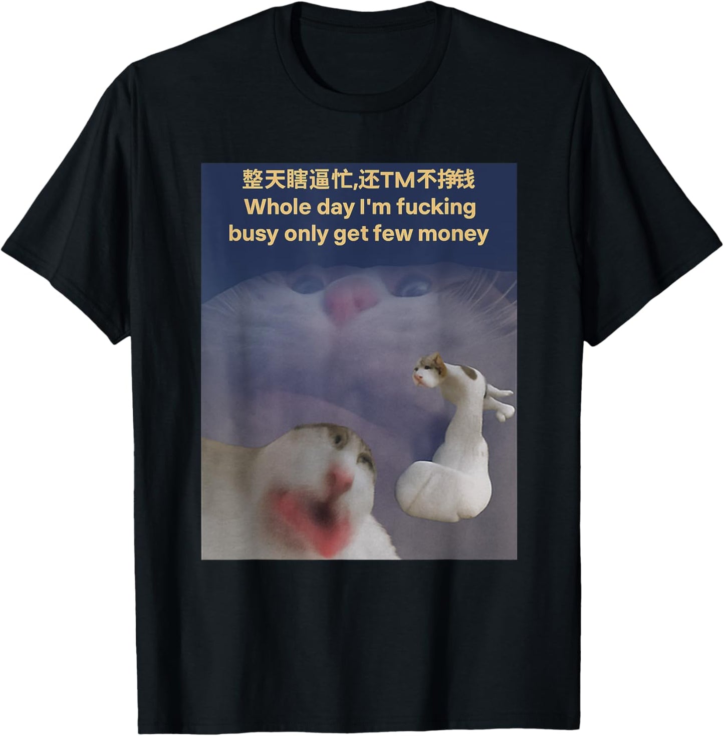 Whole Day I'm Fucking Busy Only Get Few Money Cat Meme T-Shirt