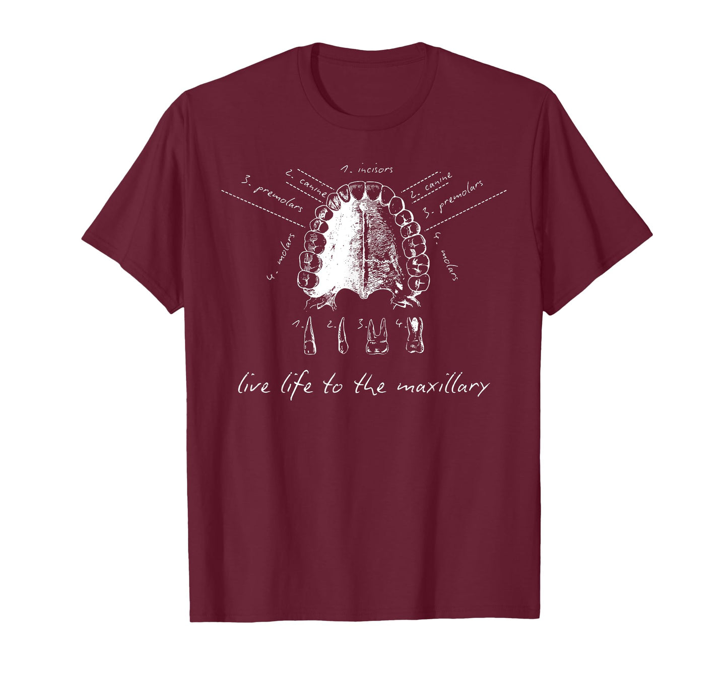 Live Life To The Maxillary Dental Anatomy Tooth Hygiene Grad T-Shirt