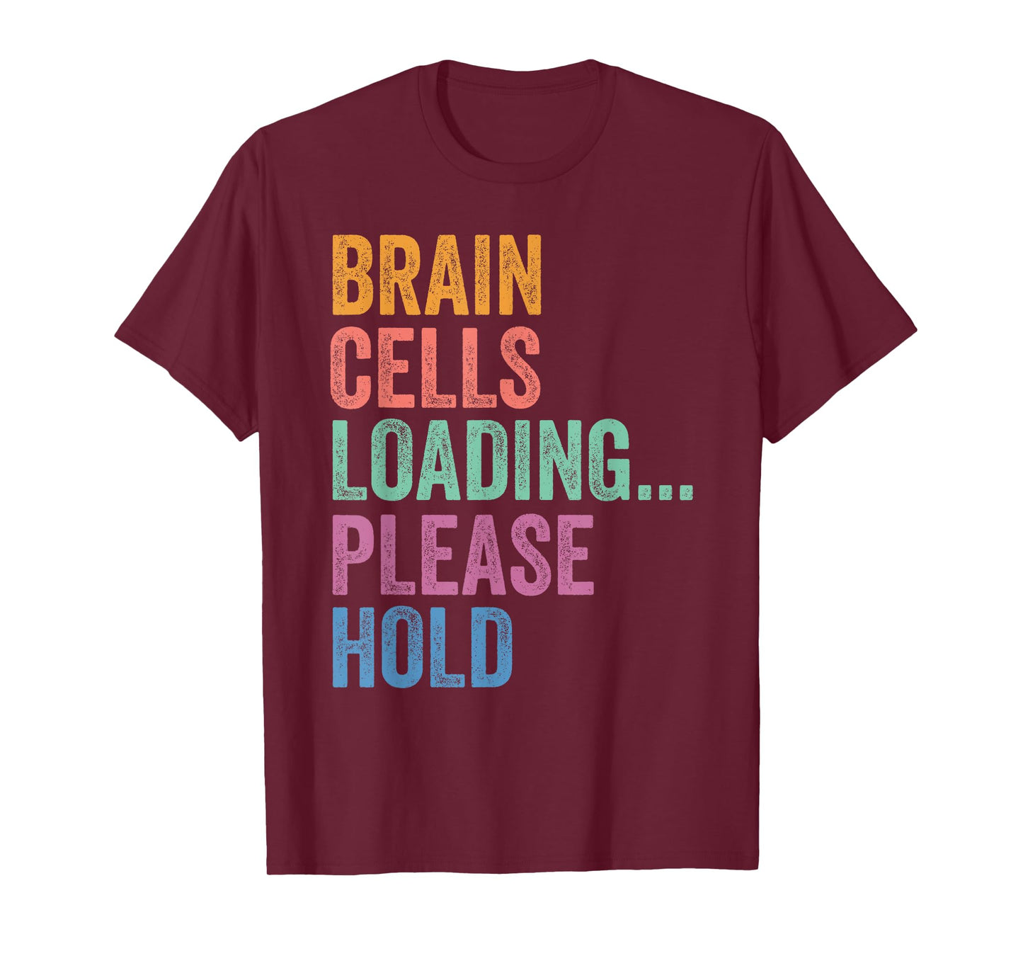 Gen Z Alpha Back To School Brain Cells Loading Please Hold T-Shirt