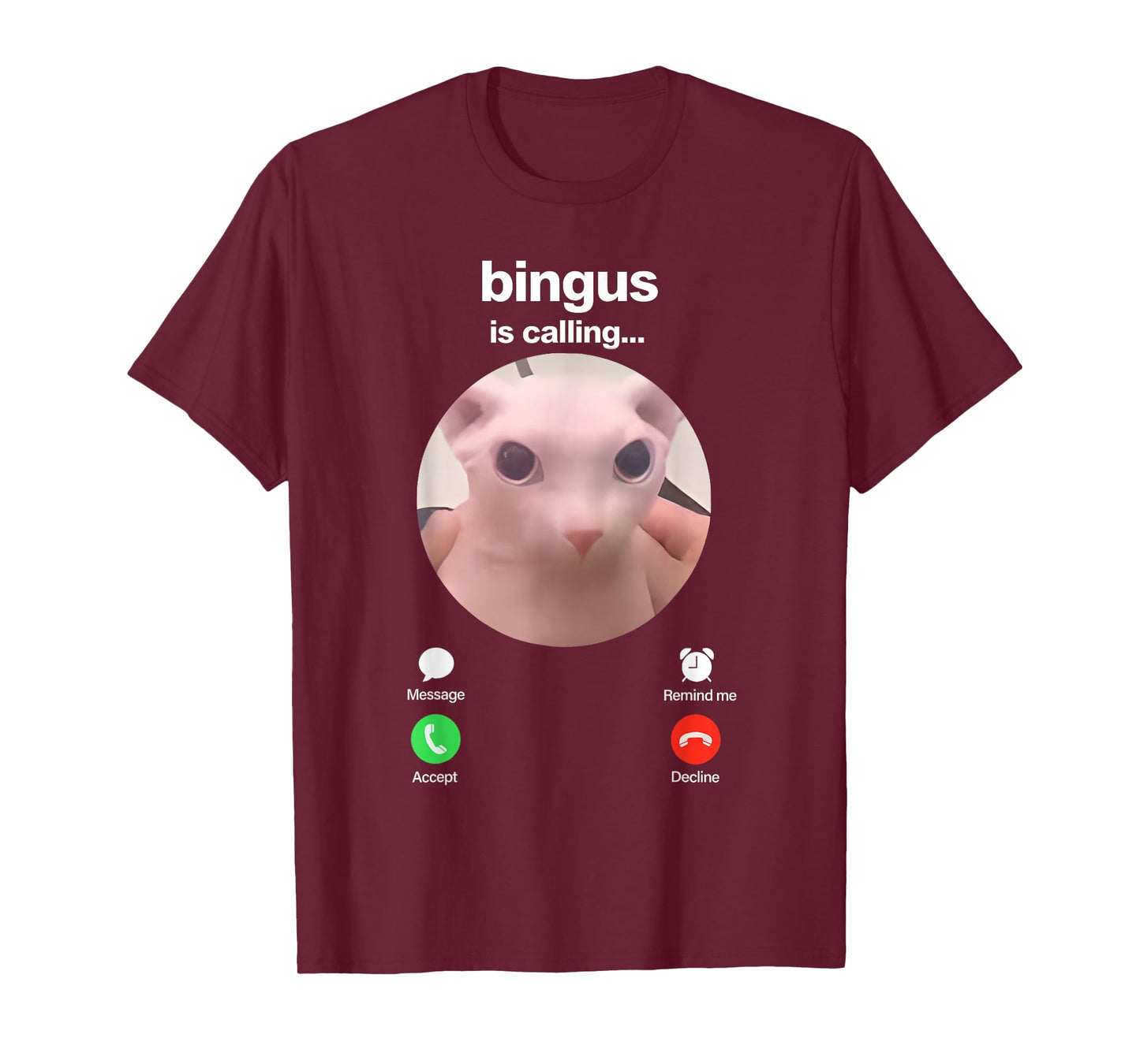 Bingus is Calling Hairless Sphinx Cat Bingus Cat Meme Gen Z T-Shirt