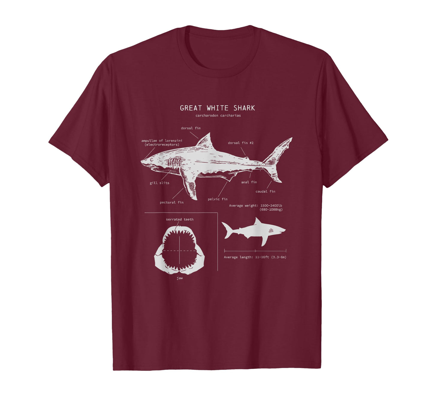 Great White Shark Anatomy , Marine Biologist T-Shirt