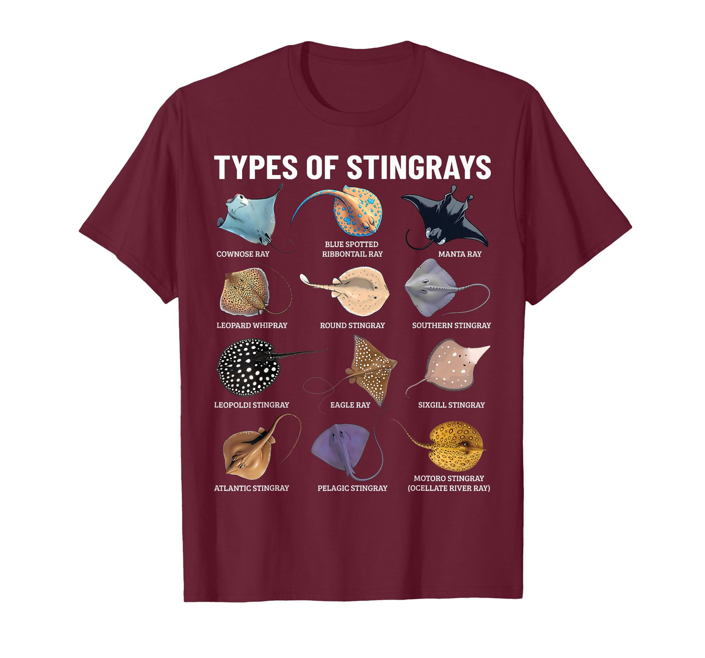 Types of Stingray Ocean Life Stingray Species Educational T-Shirt