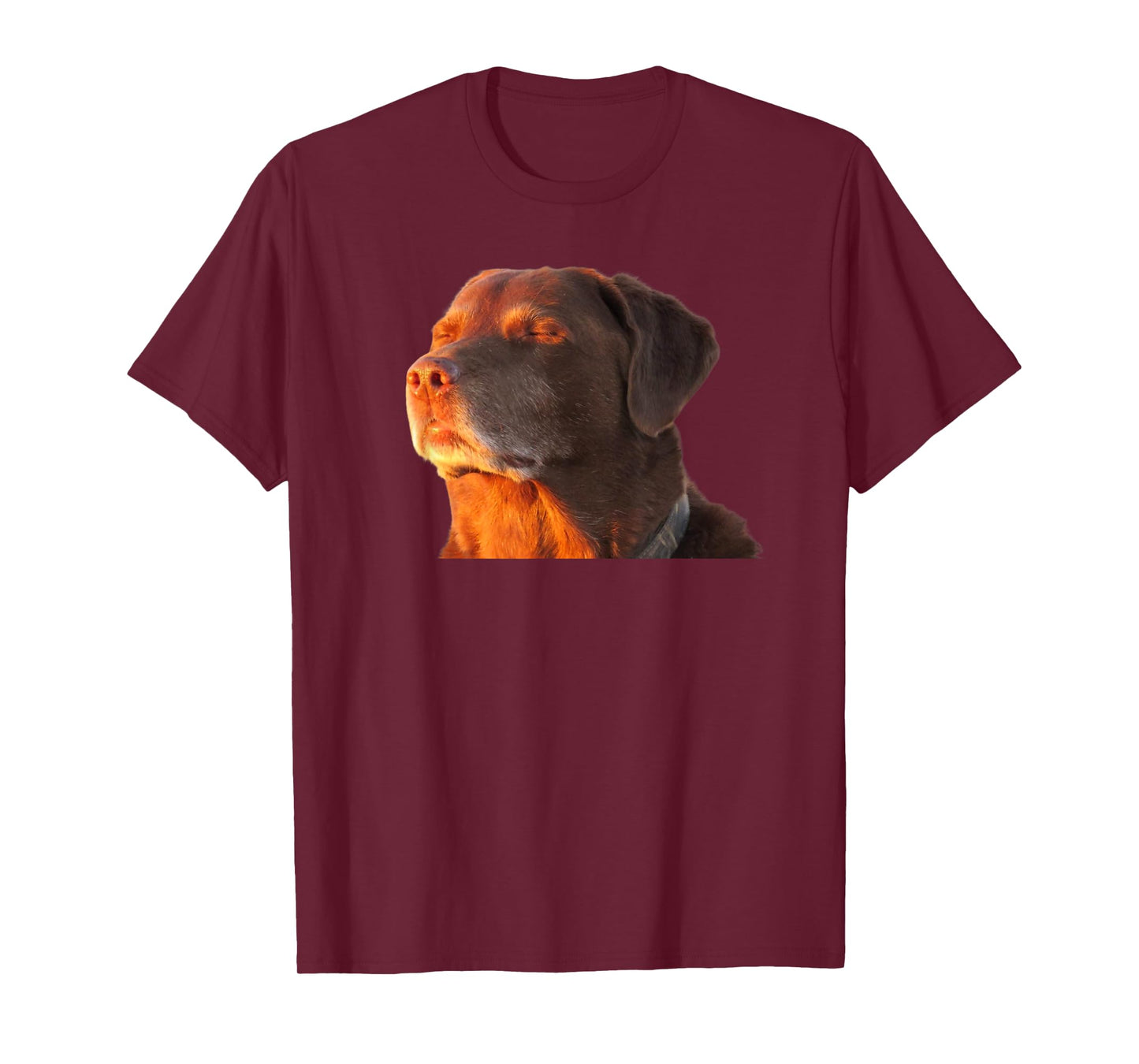 Cooked Dog Accepting Fate Closing His Eyes Funny Dog Meme T-Shirt