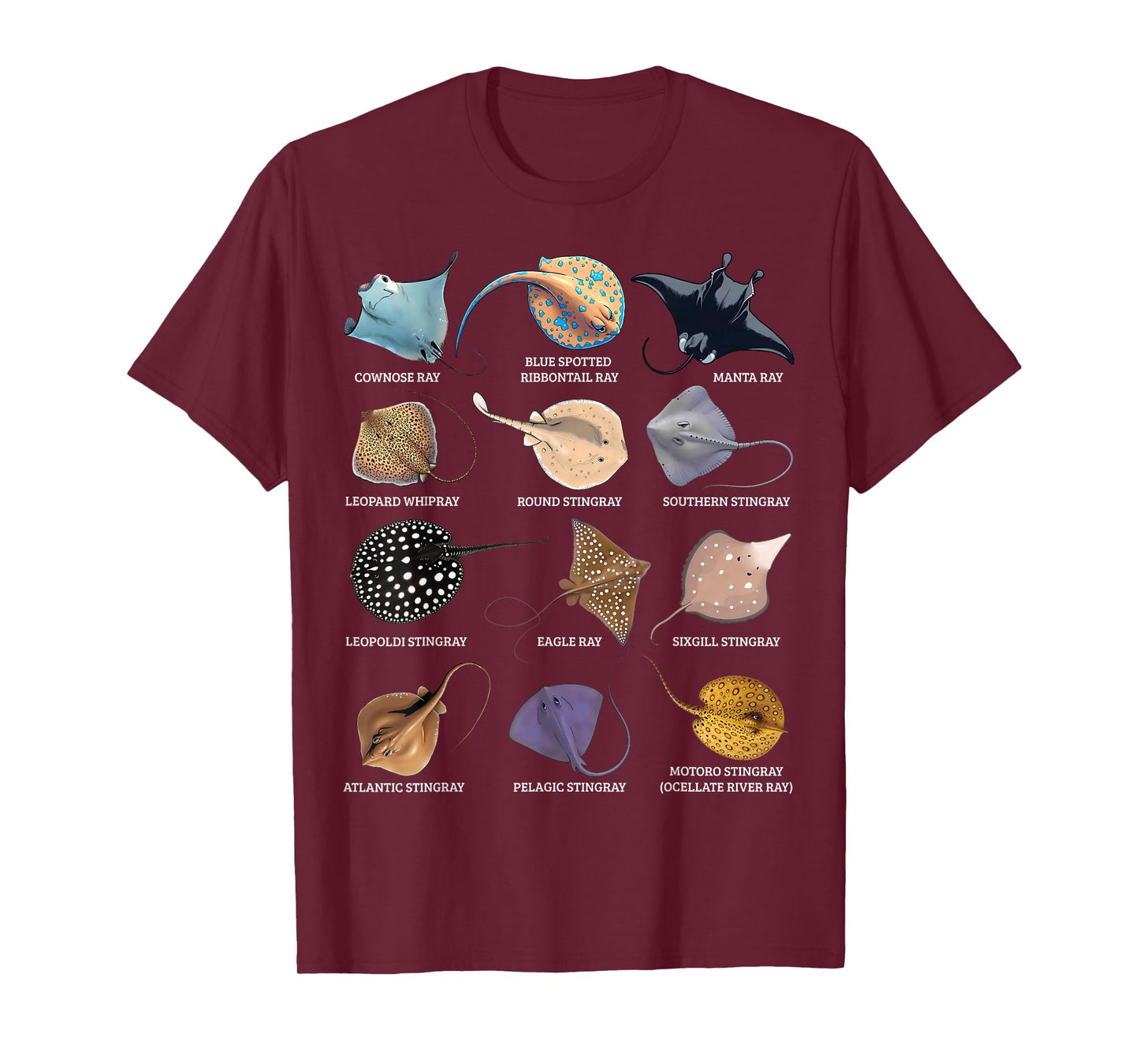 Types of Stingray Ocean Life Stingray Species Educational T-Shirt
