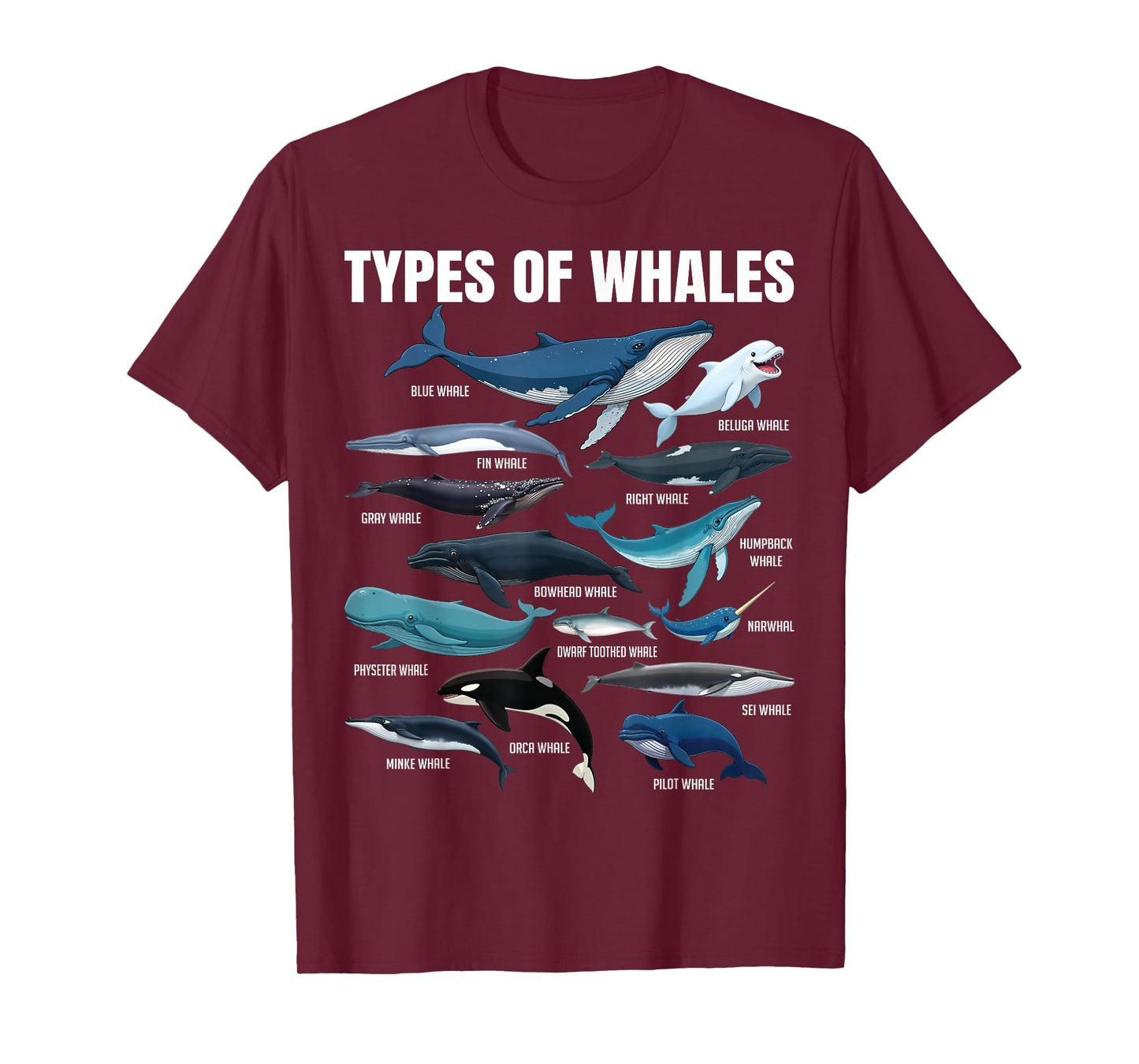 Types of Whales Educational Marine Life Enthusiast Biologist T-Shirt