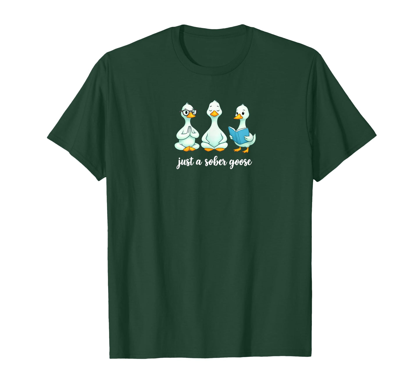 Sober Goose, Adult Humor, Humorous Sobriety Gifts, Recover T-Shirt