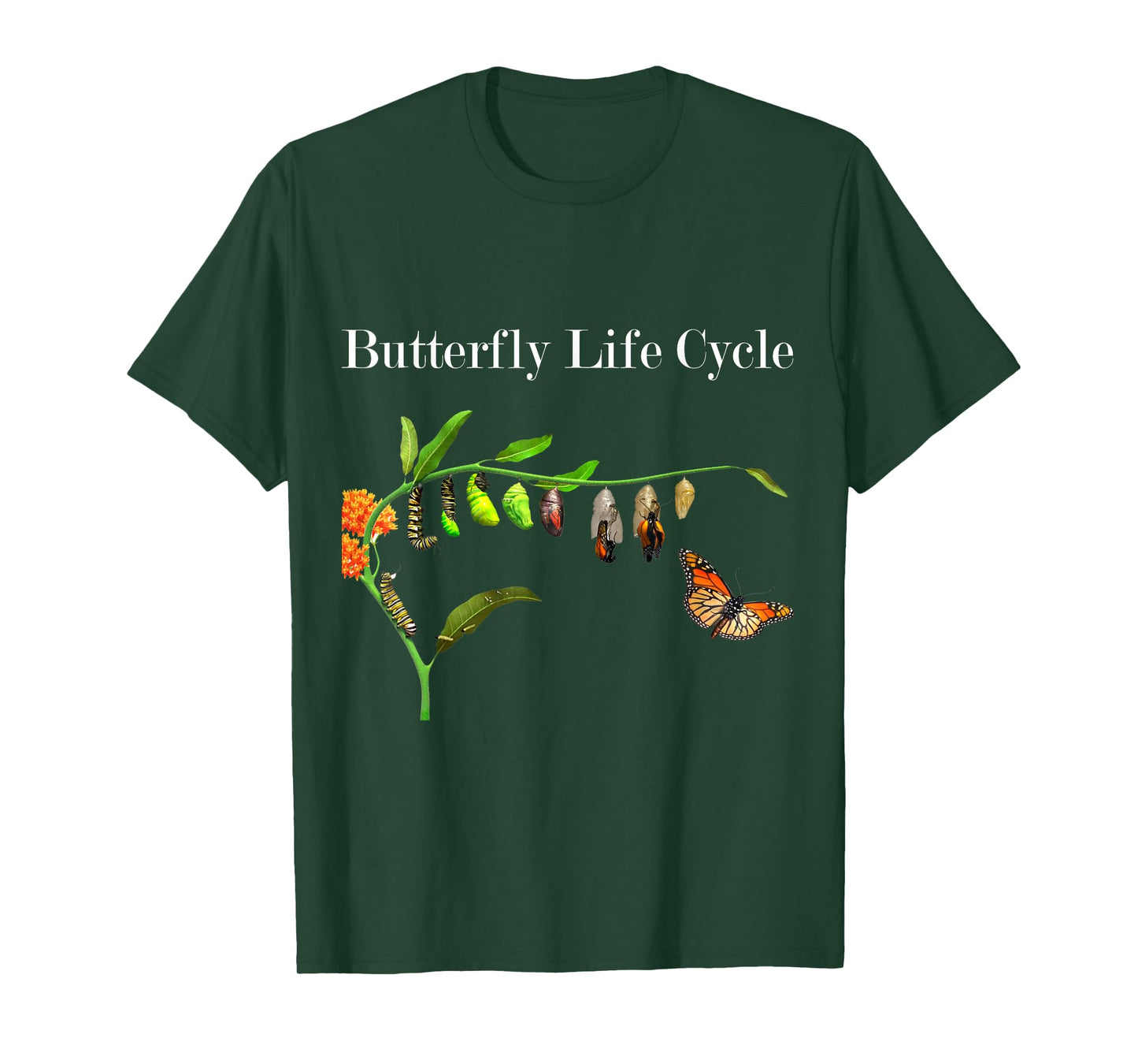 Butterfly Life Cycle Butterflies Natural Sciences Lover T-Shirt