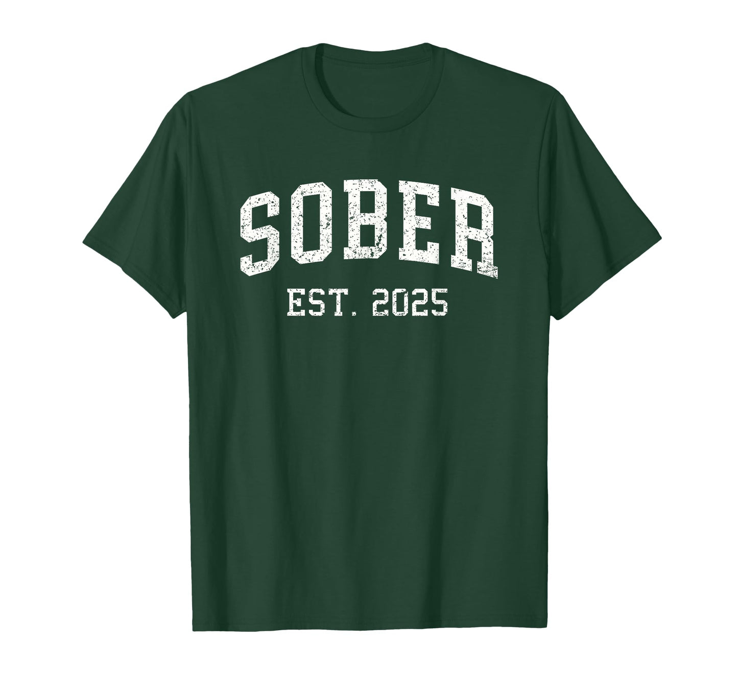Sober est. 2025 Sobriety Anniversary Sober AA NA Recovery T-Shirt