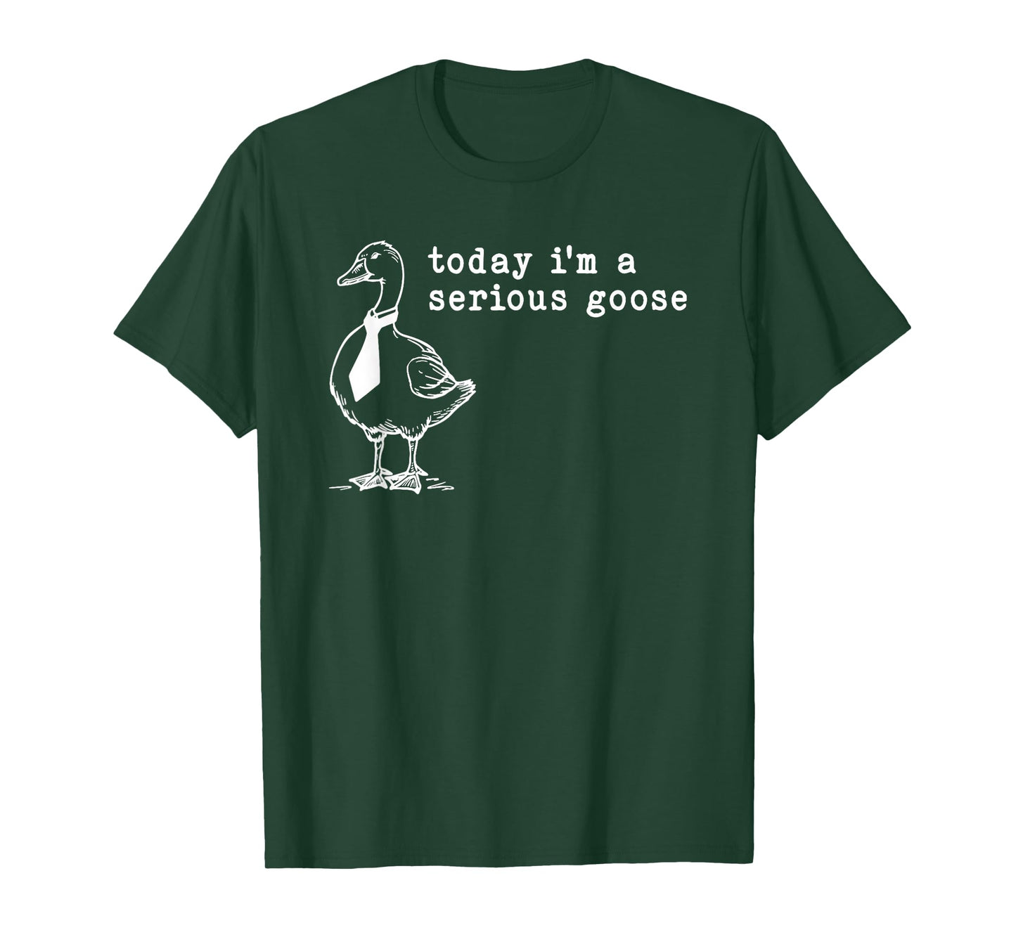 today i'm a serious goose T-Shirt