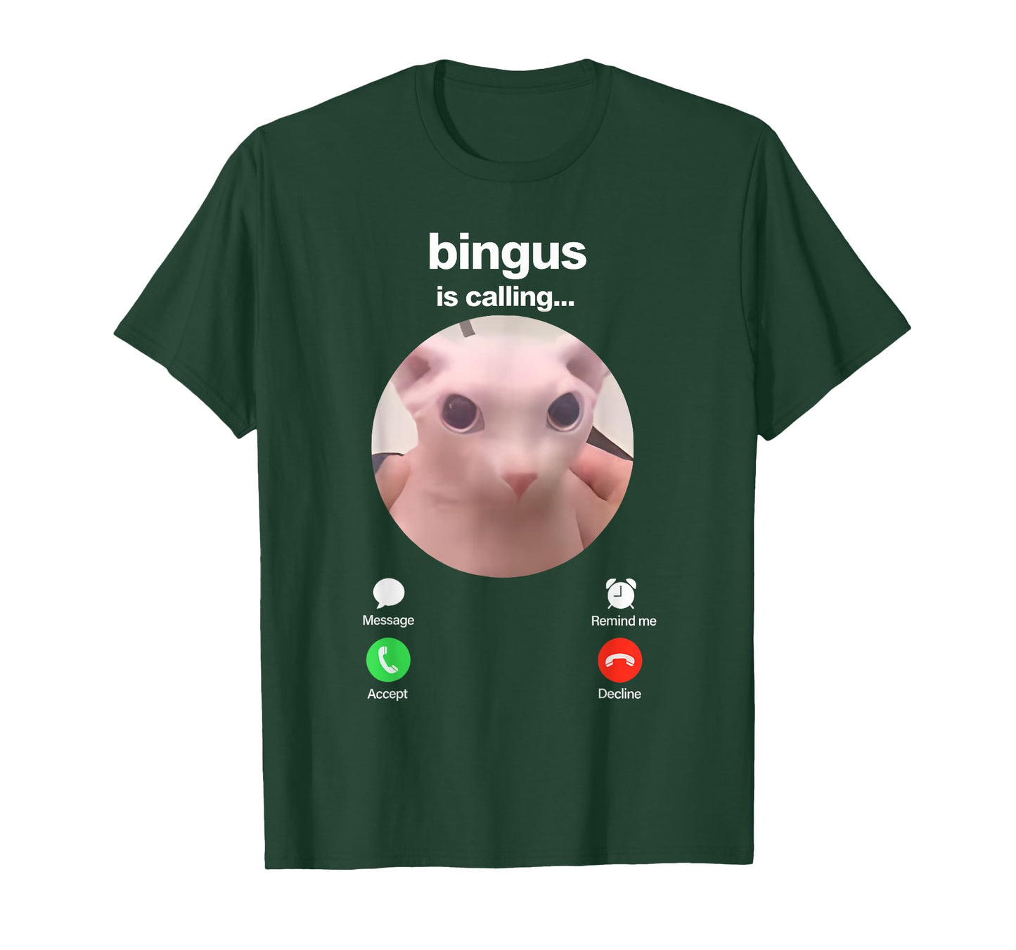Bingus is Calling Hairless Sphinx Cat Bingus Cat Meme Gen Z T-Shirt