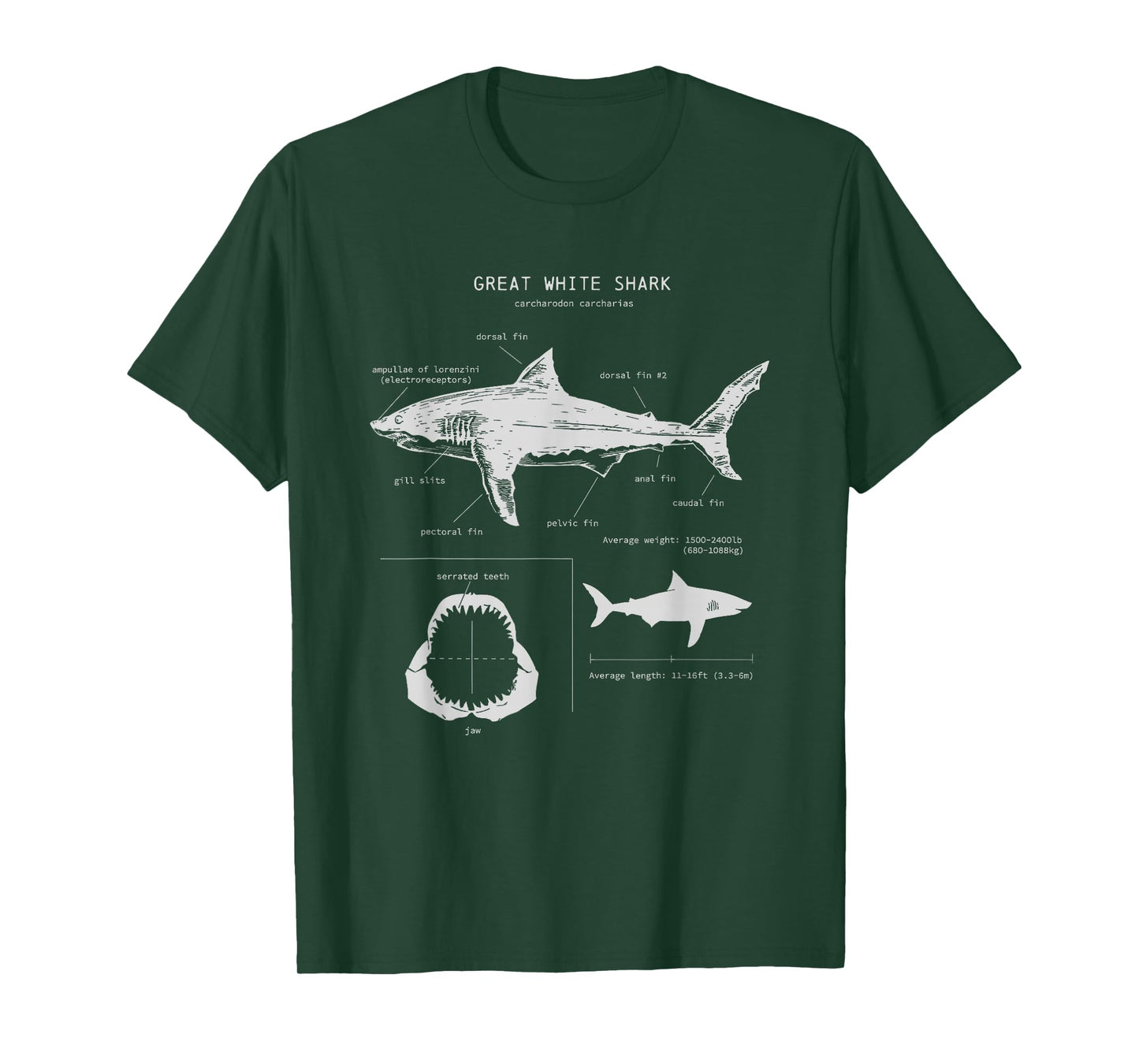 Great White Shark Anatomy , Marine Biologist T-Shirt