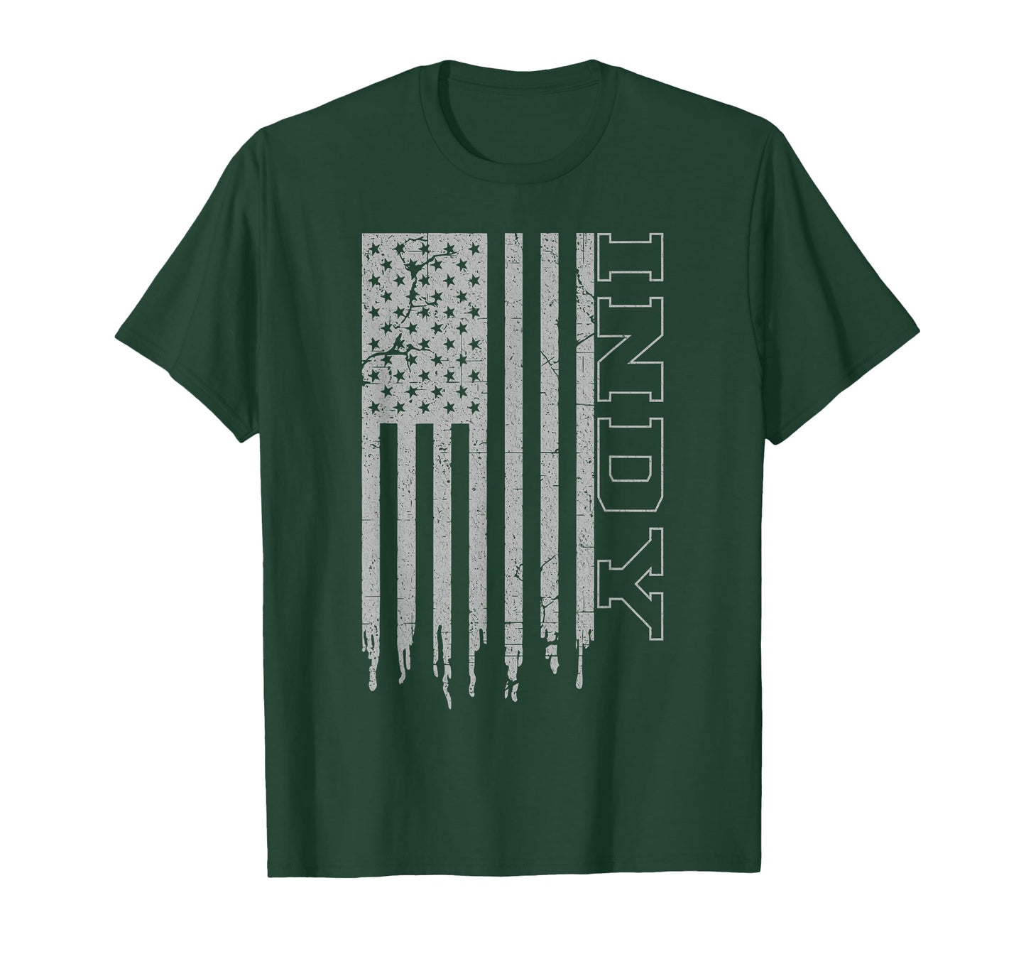 Vintage Indianapolis Patriotic USA Flag Pride Iconic Indy T-Shirt