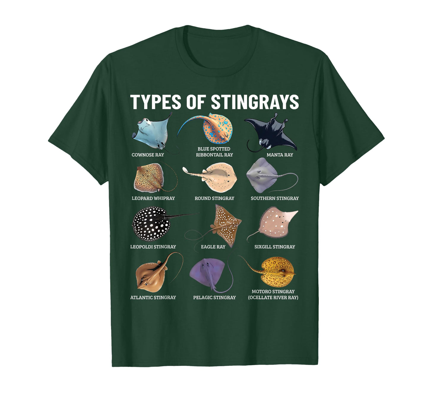 Types of Stingray Ocean Life Stingray Species Educational T-Shirt