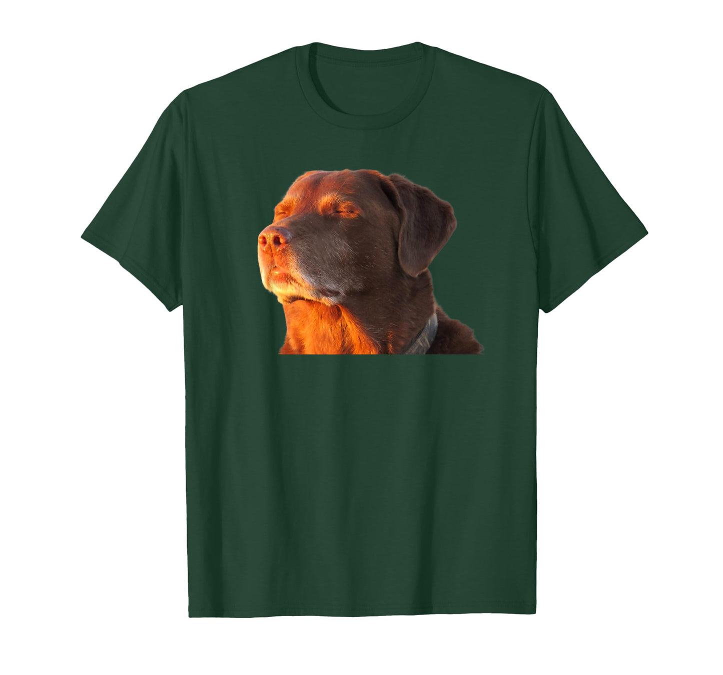 Cooked Dog Accepting Fate Closing His Eyes Funny Dog Meme T-Shirt