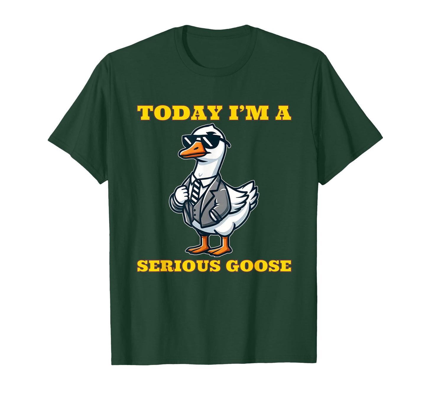 Today I'm a Serious Goose Funny Silly Goose T-Shirt