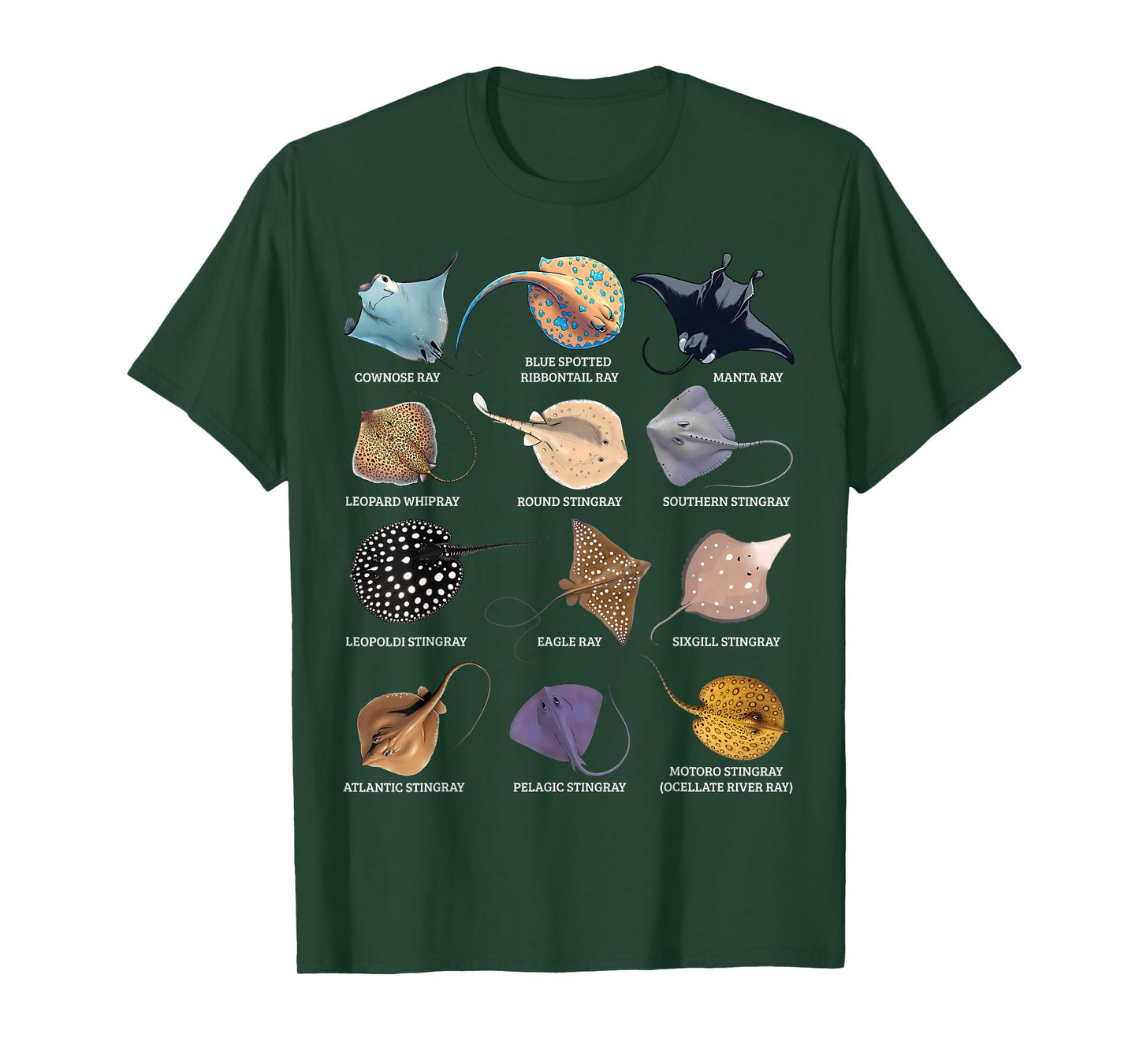 Types of Stingray Ocean Life Stingray Species Educational T-Shirt