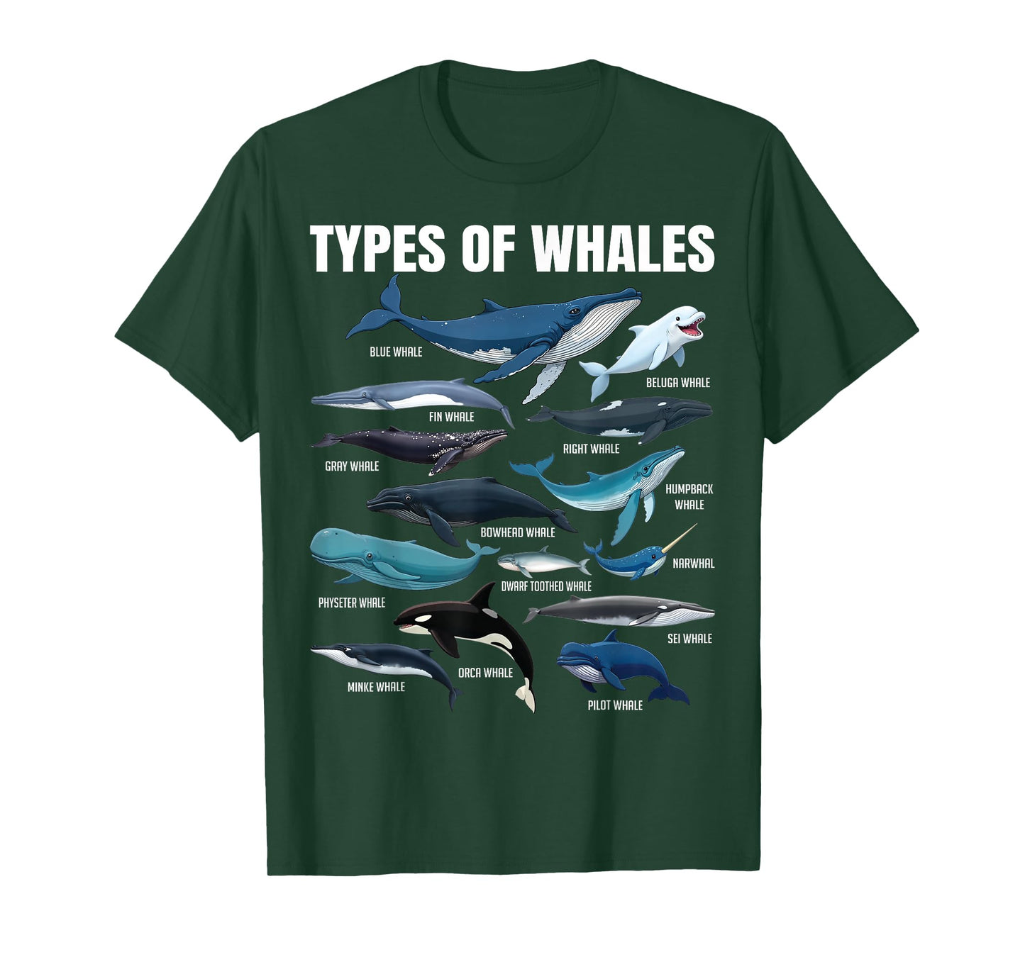 Types of Whales Educational Marine Life Enthusiast Biologist T-Shirt