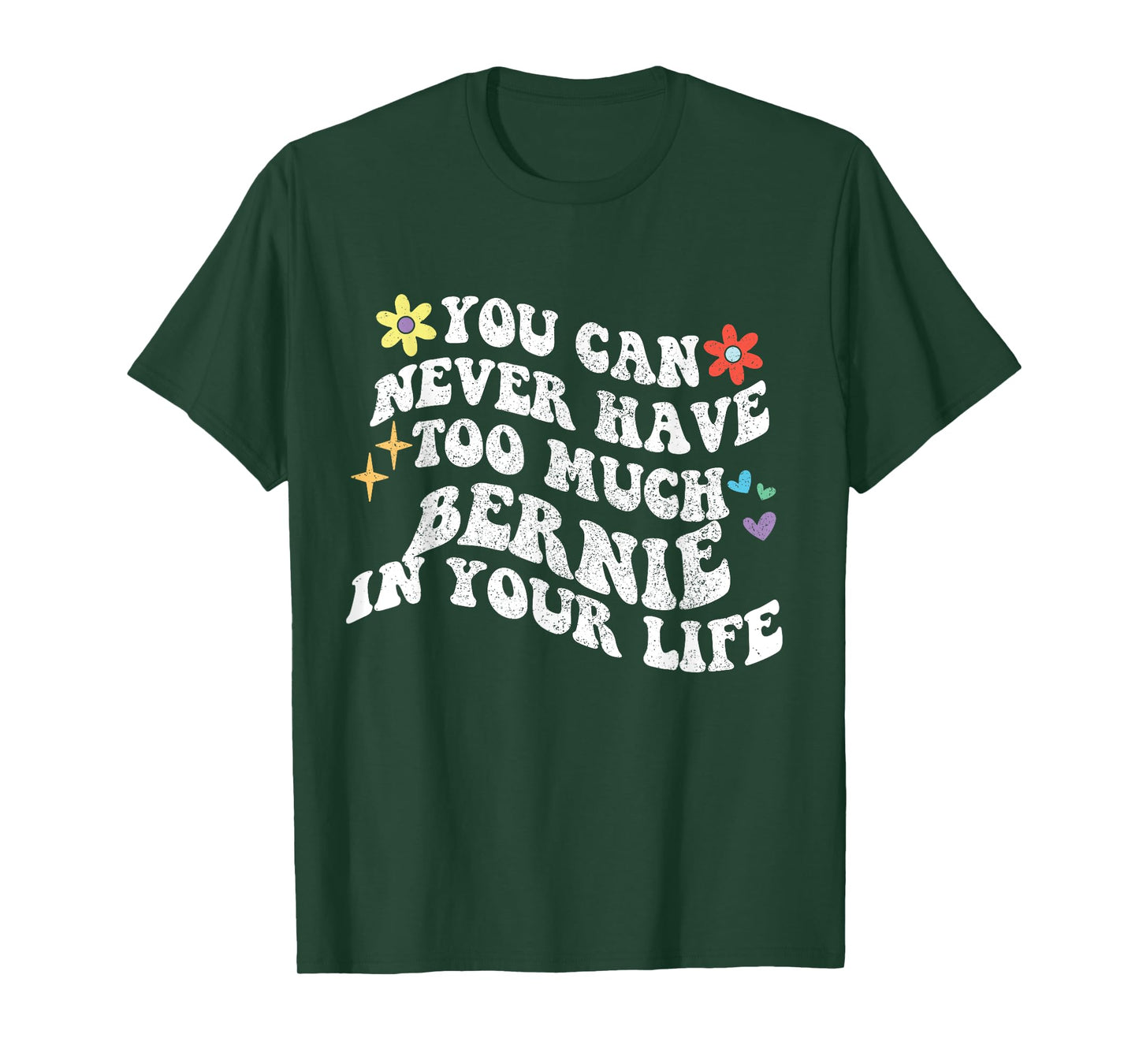 Retro Groovy You Can Never Have Too Much Bernie In Your Life T-Shirt