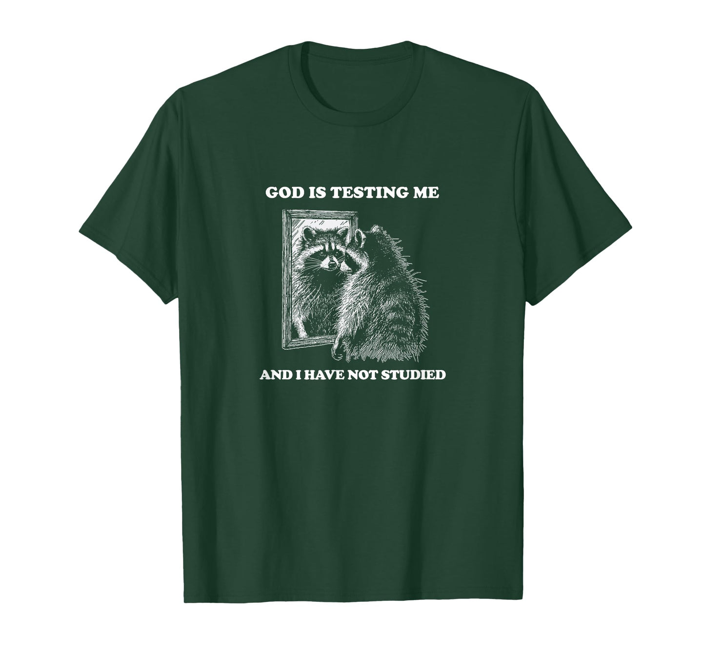Raccoon, The Lord/ God Is Testing Me And I Have Not Studied T-Shirt