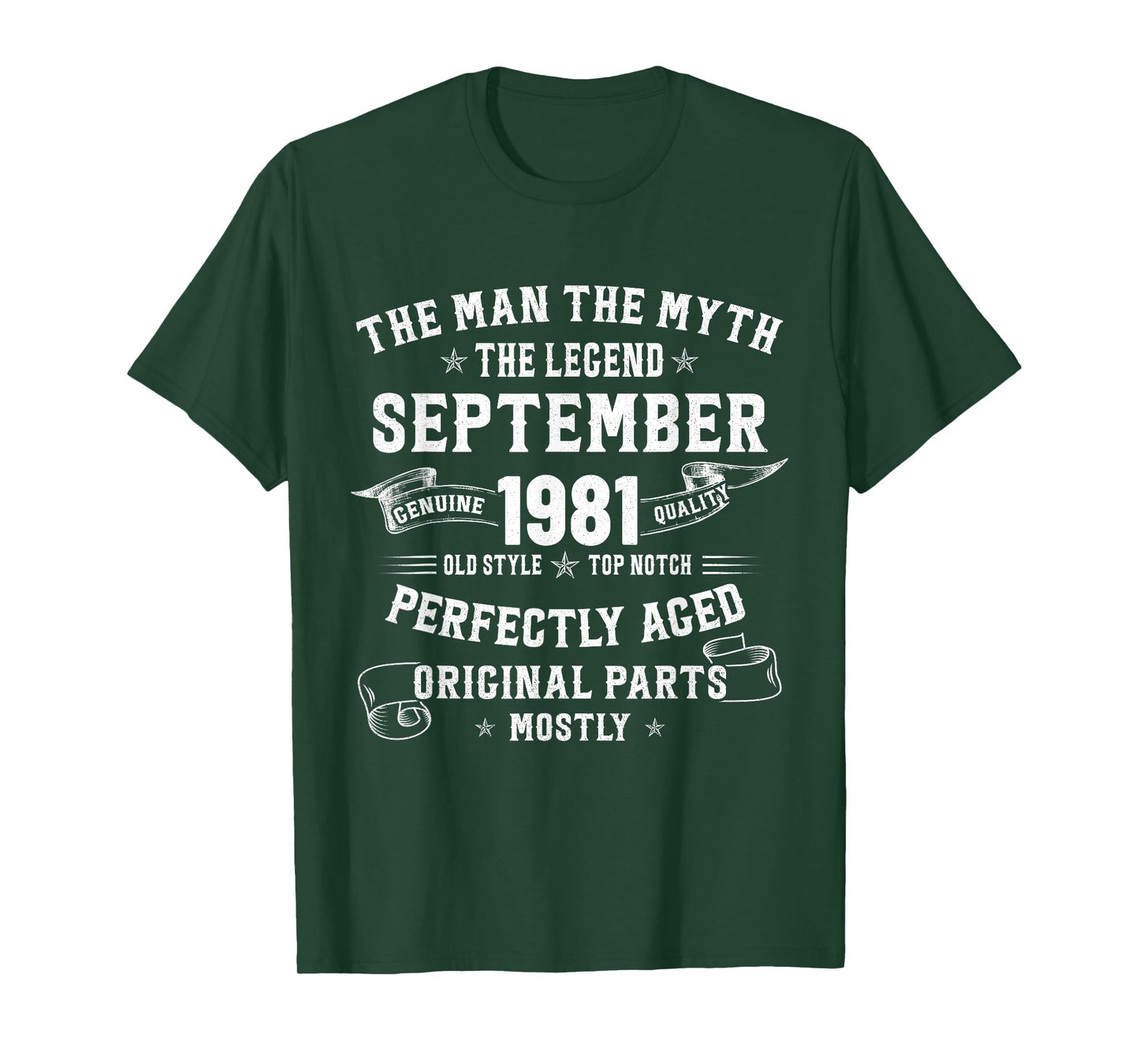 44 Year Old Birthday Gifts For Men September 1981 44th Bday T-Shirt