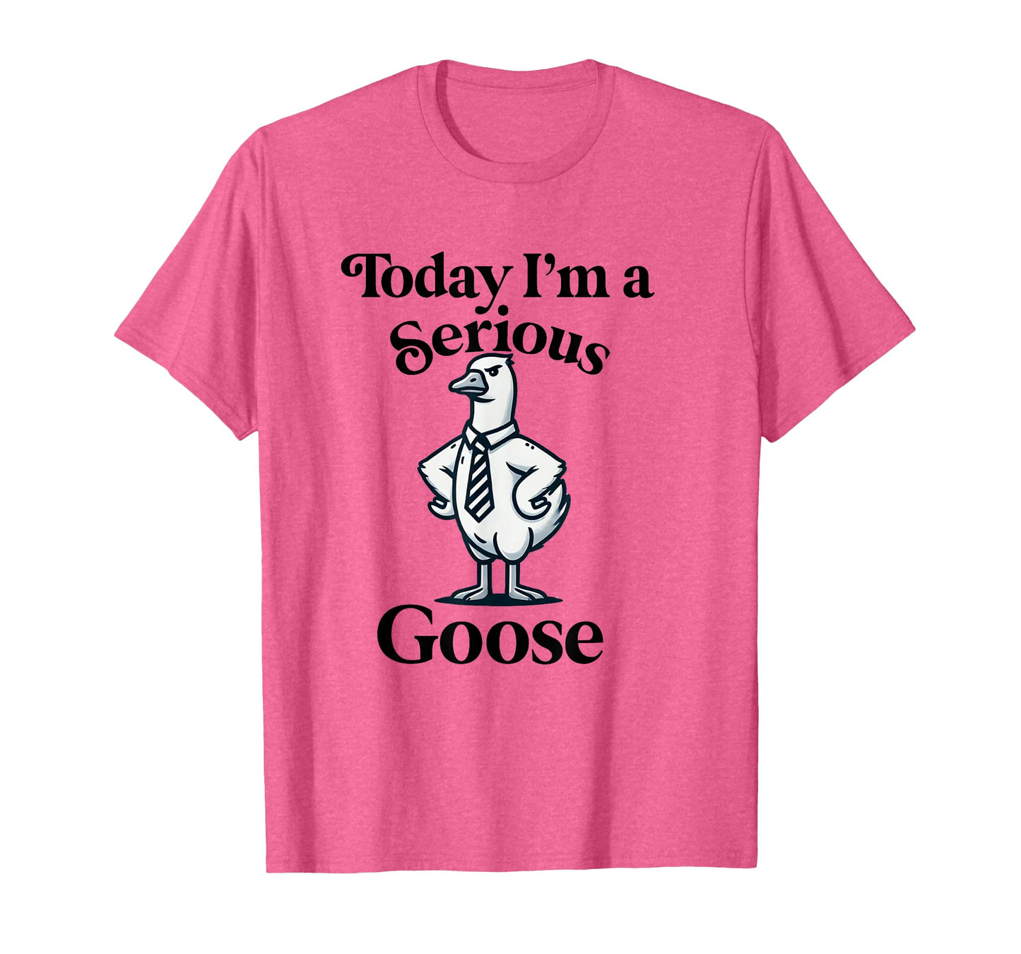 Today I'm a Serious Goose Funny Silly Goose T-Shirt