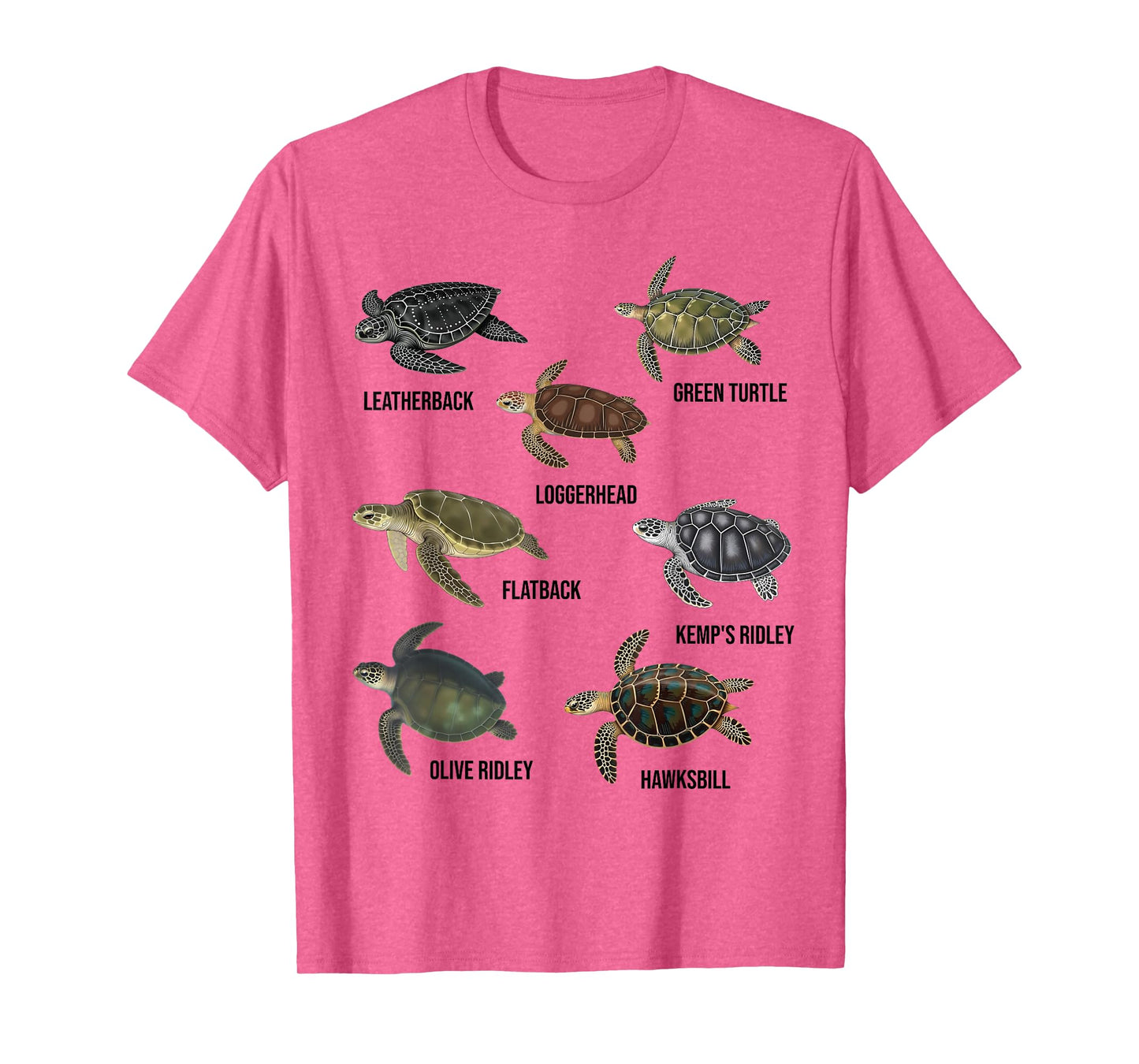 Types of Sea Turtles Marine Turtle Species Educational Chart T-Shirt