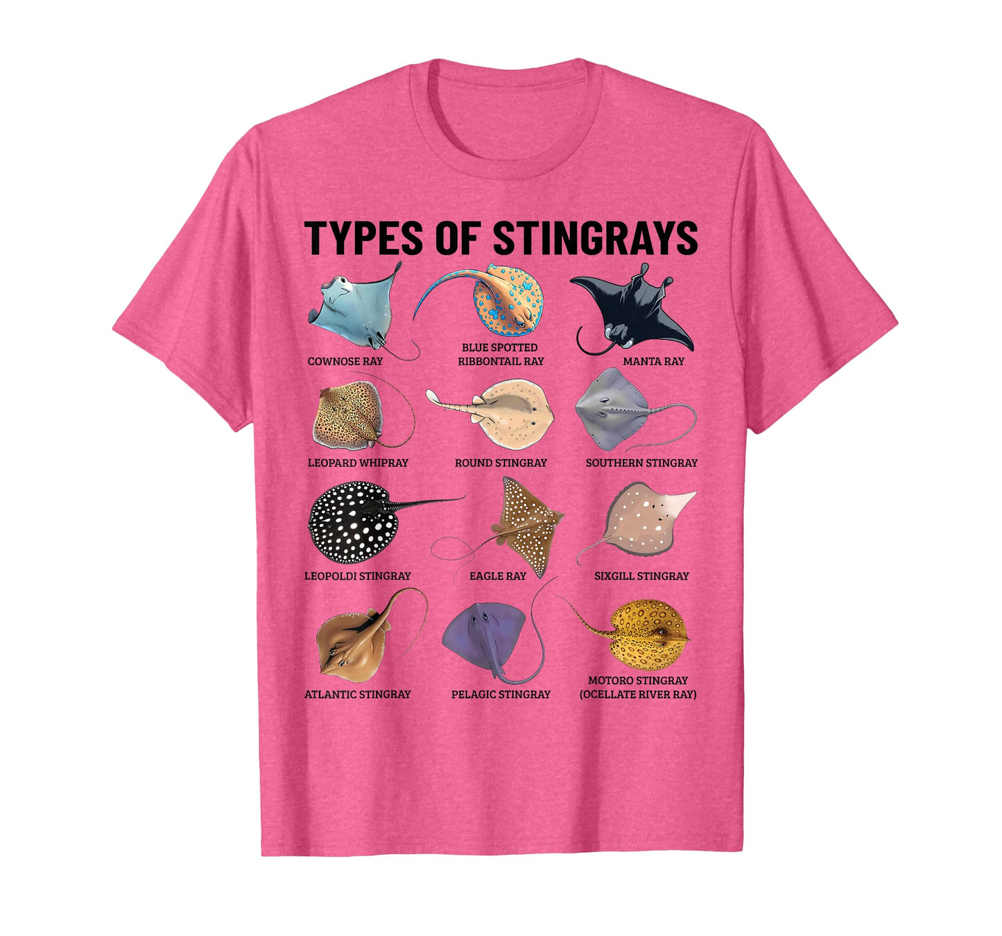 Types of Stingray Ocean Life Stingray Species Educational T-Shirt