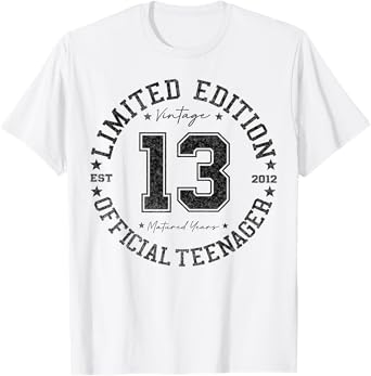 Official Teenager 13 Year Old Gifts Vintage 13th Birthday T-Shirt