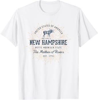 Retro Vintage State of New Hampshire T-Shirt