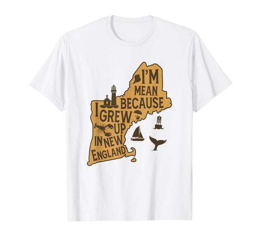 Sarcasm Humor I'm Mean Because I Grew Up In New England T-Shirt