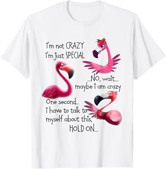 I'm Not Crazy I'm Just Special Funny Flamingo Saying T-Shirt